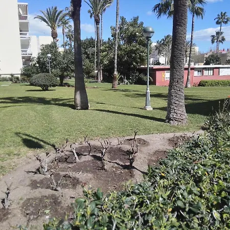 Carihuela Playa * 托雷莫利诺斯